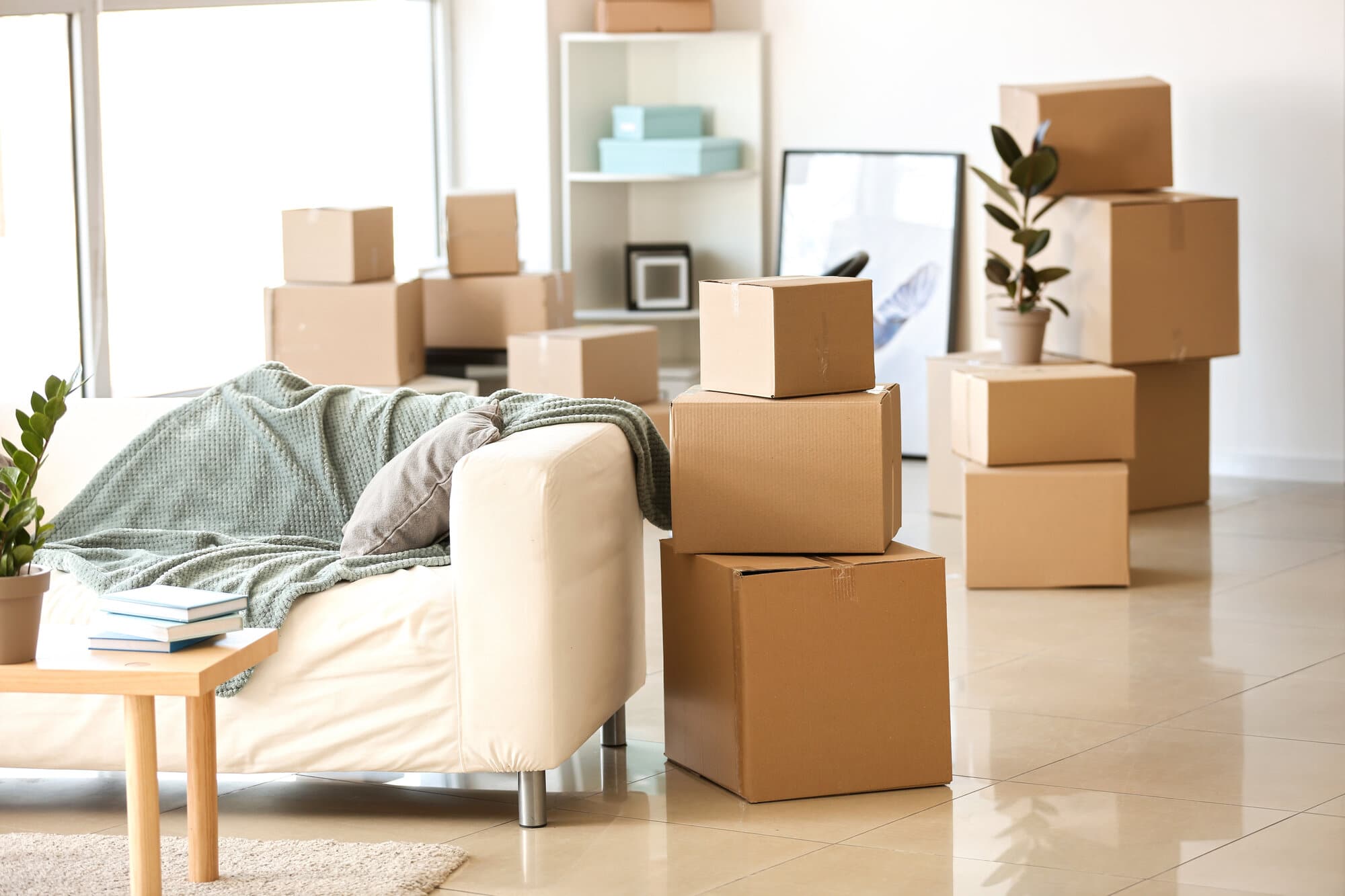 Moving Made Easy: Your Pathway to a Smooth Transition