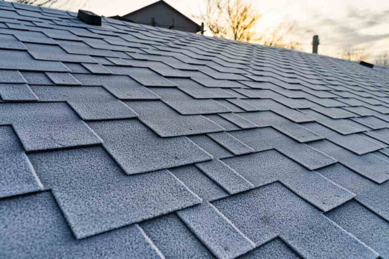 Eco-Friendly Roofing Solutions: The Benefits of Bone Dry Roofing